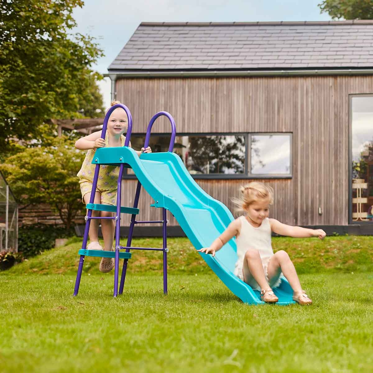 بلوم زحليقة هاوميا للجنسين، 11-12 سنة