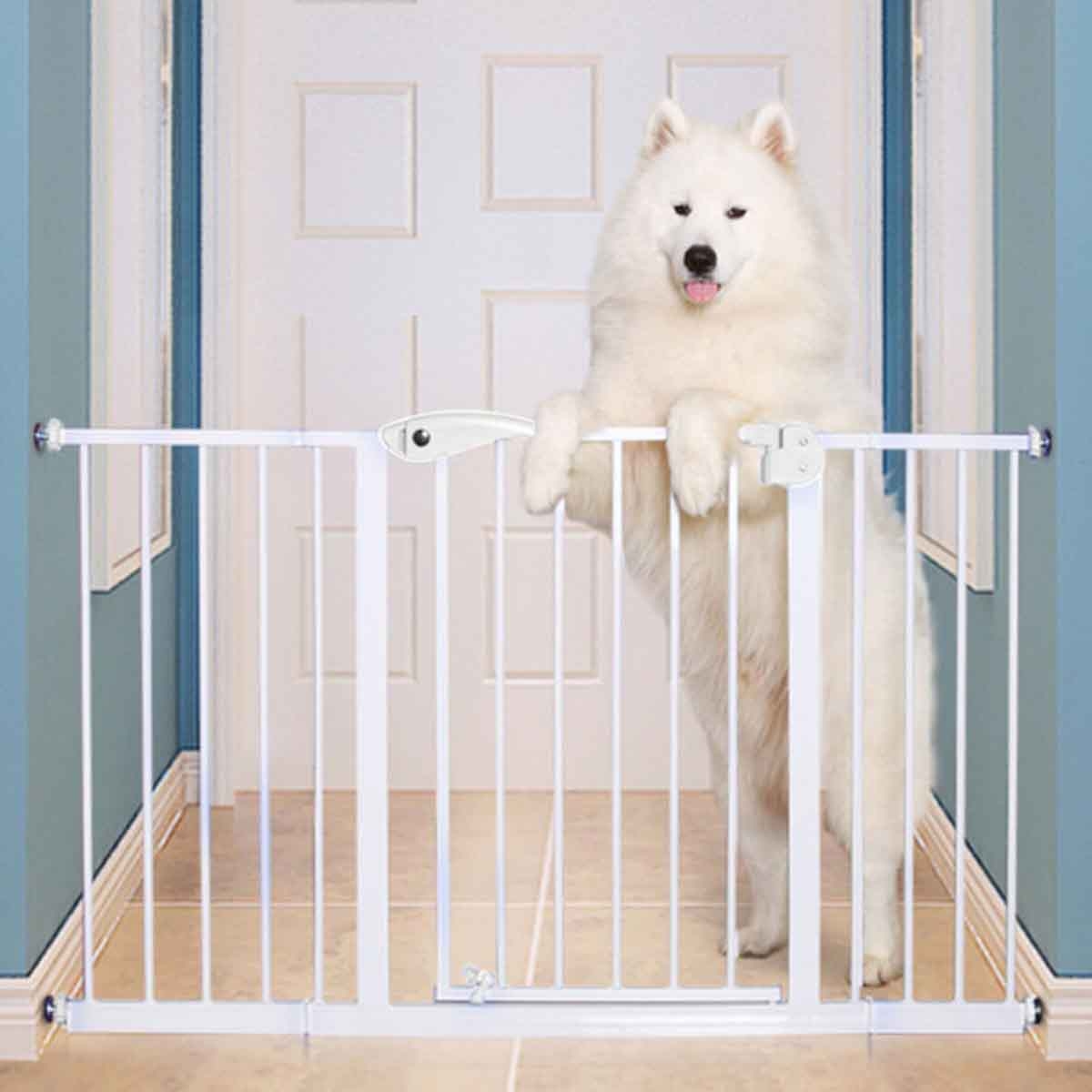 بيبي سيف بوابة أمان بيضاء مع تمديد 30 سم