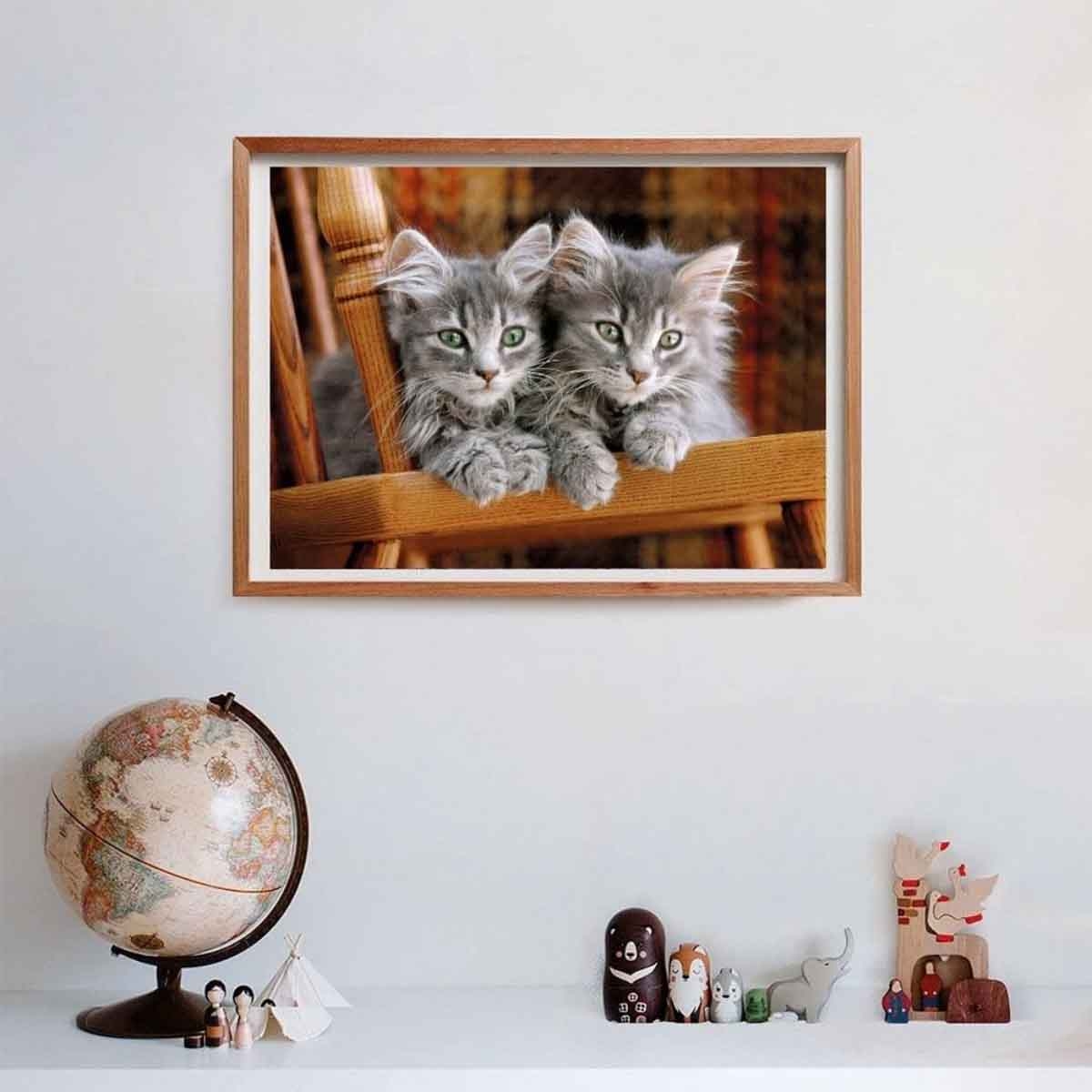 كليمنتوني لغز مجموعة الجودة العالية القطط الصغيرة، للجنسين، 11-12 سنوات