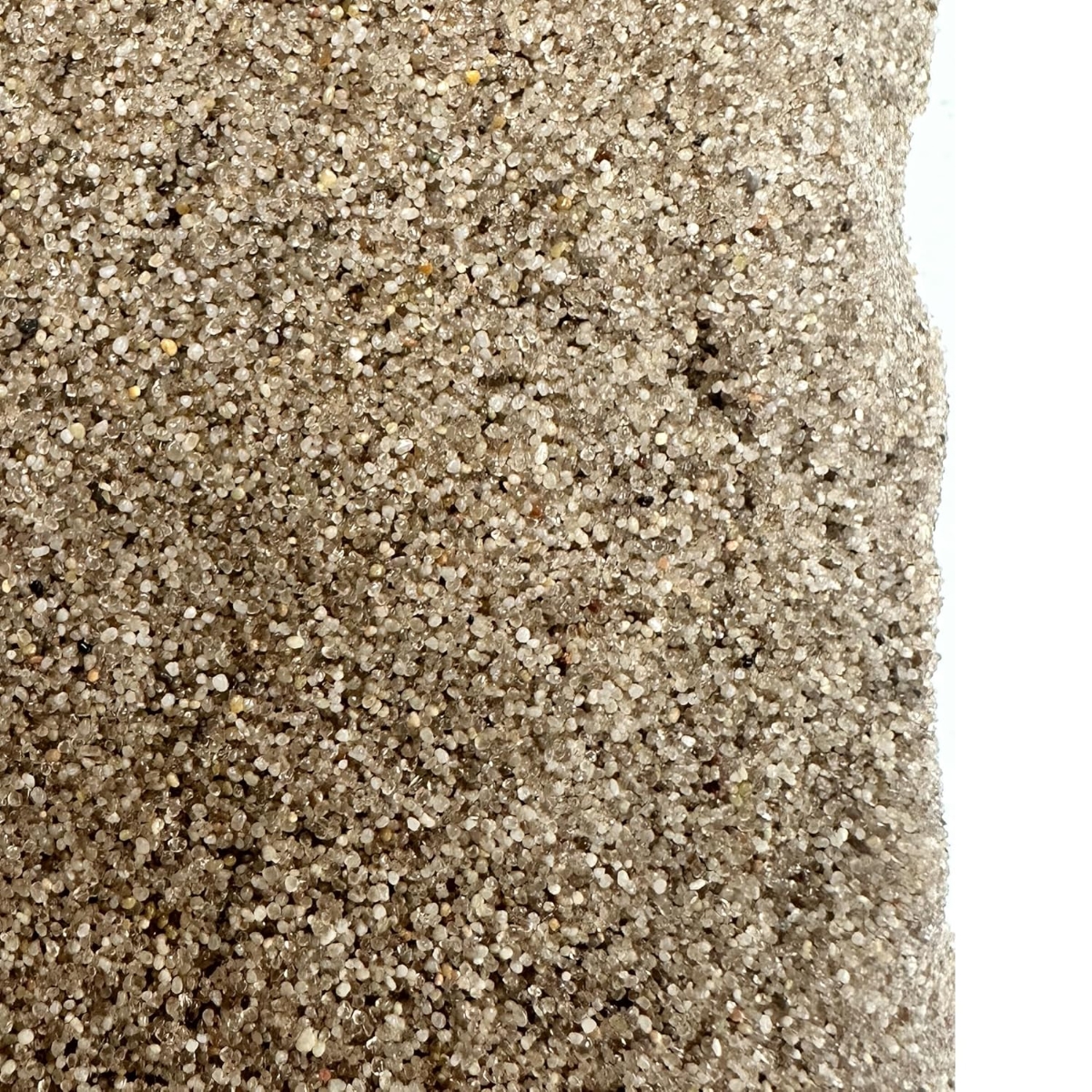 كومباوند كينغز كيس رمل حقيقي للجنسين، 5-7 سنوات