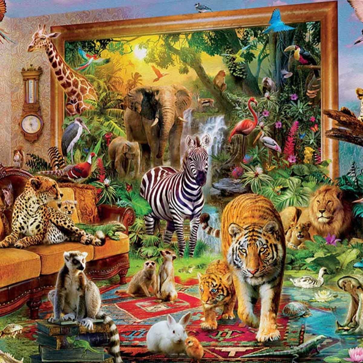 إدوكا لغز تركيب دخول غرفة النوم للجنسين، 13+ سنوات