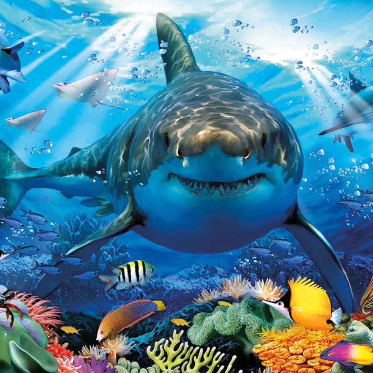 إدوكا لغز تركيب قرش أبيض كبير للجنسين، 13+ سنوات