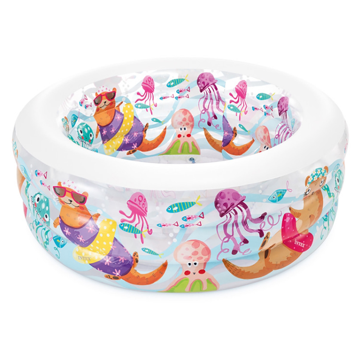 إنتكس مسبح أكواريوم متنوع للجنسين، 3-4 سنوات