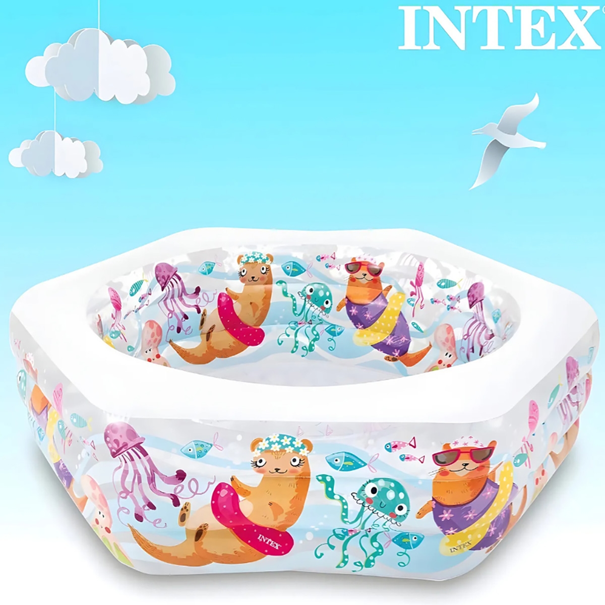 إنتكس مسبح الشعاب المرجانية للجنسين، 5-7 سنوات