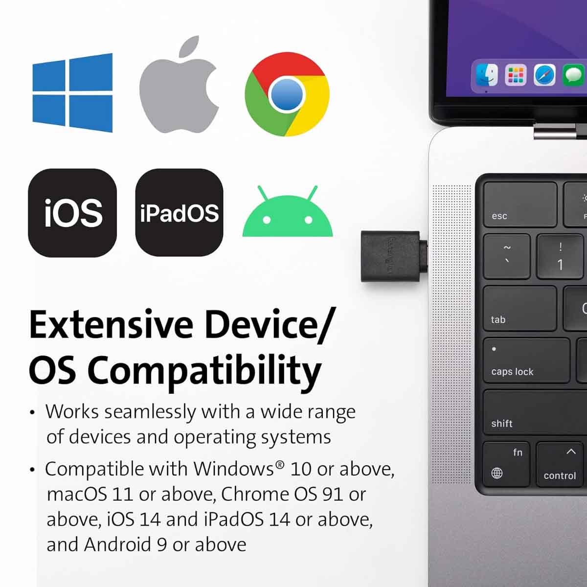 كينسينغتون محول يو إس بي سي إلى يو إس بي إيه سي إيه 1010