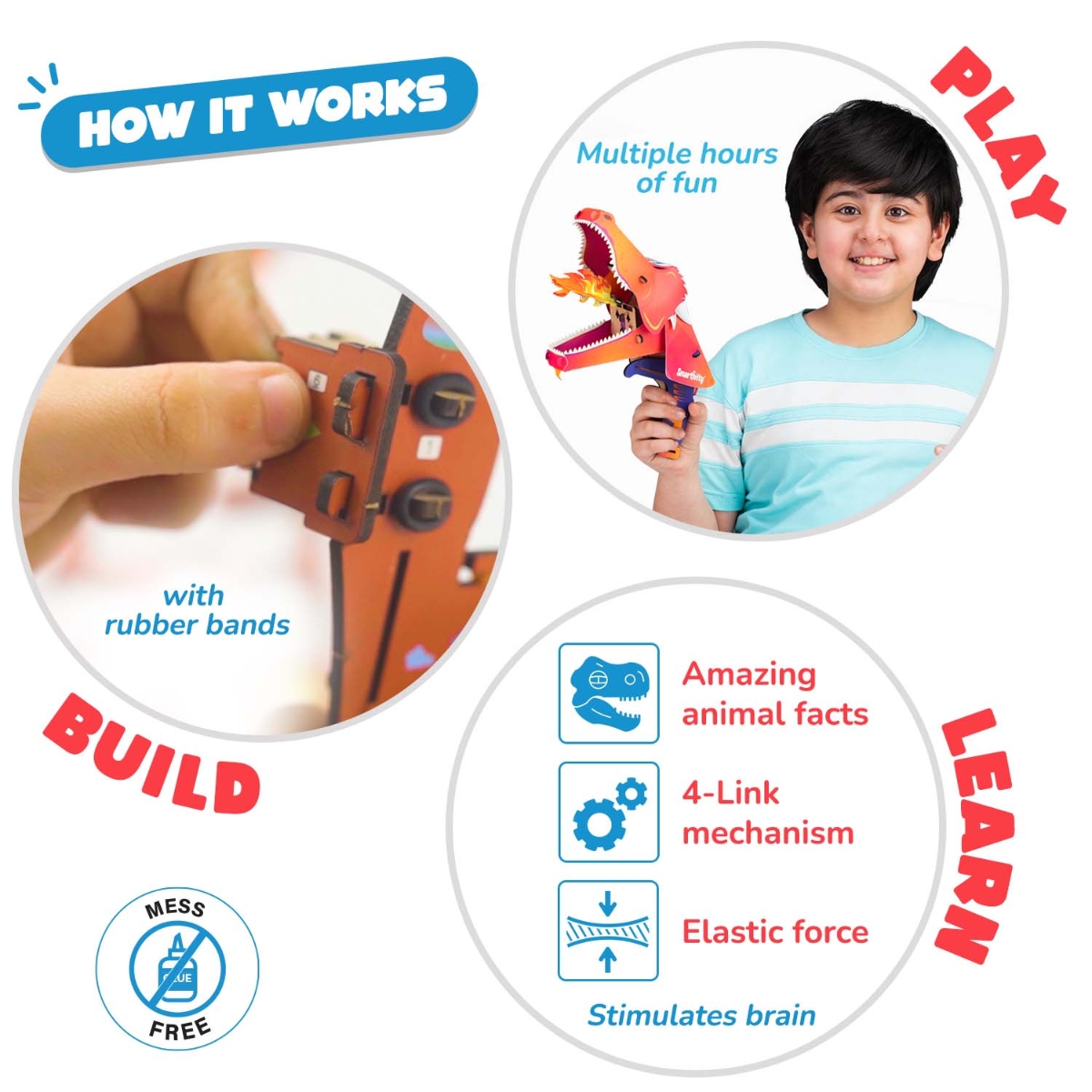 سمارتيفيتي مجموعة علوم الحيوانات 2 في 1 للجنسين، 8-10 سنوات
